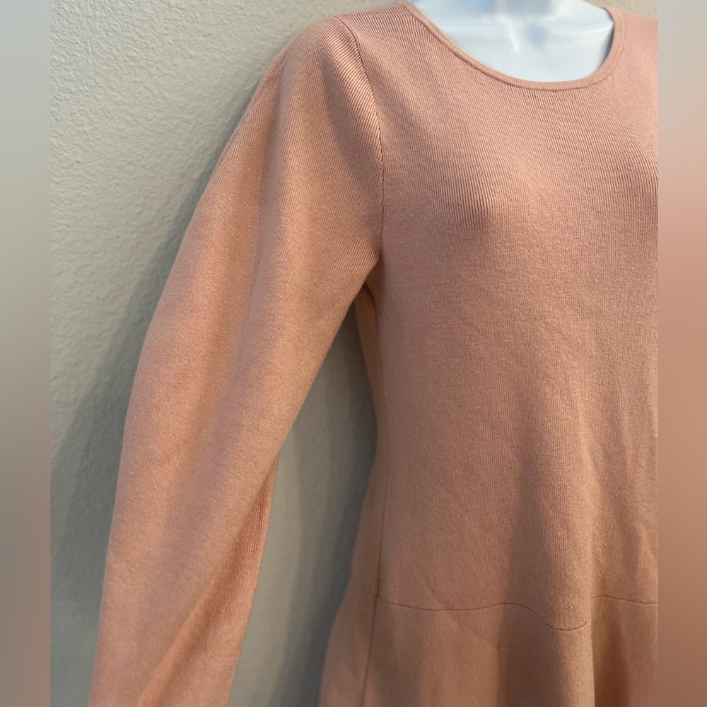 Express Blush Long Sleeve Mini Dress - Picture 4 of 7